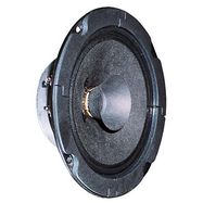 BG 13 P - 8 Ohm - 13 cm (5") full-range speaker