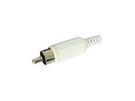 RCA PLUG MALE - WHITE