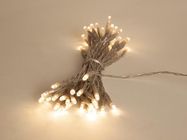 Showlight - 5 m - 40 warm white lamps - transparent wire - dual plug