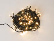 Twistlight LED - 3 m - 250 arizona white lamps - black wire - 31V