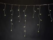 RANA LED  - 4 x 1.3 m - 300 warm white lamps - transparent wire - 24 V