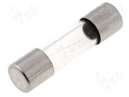 Fuse: fuse; 1A; 250VAC; quick blow; cylindrical,glass; 5x20mm; box ESKA