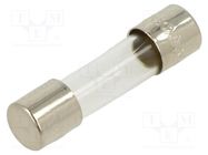 Fuse: fuse; quick blow; 1A; 250VAC; cylindrical,glass; 5x20mm; S500 EATON/BUSSMANN