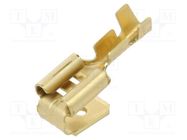 Terminal: flat; 6.3mm; 0.8mm; female/male; 0.5÷1mm2; crimped; brass BM GROUP