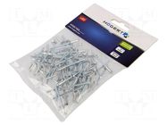 Rivet; aluminium; Rivet diam: 4mm; L.rivet: 10mm; 50pcs. HÖGERT TECHNIK