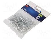 Rivet; aluminium; Rivet diam: 4mm; L.rivet: 18mm; 50pcs. HÖGERT TECHNIK