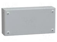 Enclosure: multipurpose; X: 150mm; Y: 300mm; Z: 80mm; Spacial SBM SCHNEIDER ELECTRIC