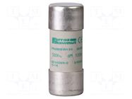 Fuse: fuse; 40A; 690VAC; aM; ceramic; 22x58mm SCHNEIDER ELECTRIC
