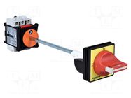 Main emergency switch-disconnector; Poles: 3; on panel; 32A; IP65 SCHNEIDER ELECTRIC