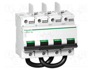 Switch-disconnector; Poles: 2; for DIN rail mounting; 100A SCHNEIDER ELECTRIC