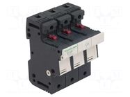 Fuse disconnector; 14x51mm; for DIN rail mounting; 50A; Poles: 3 SCHNEIDER ELECTRIC