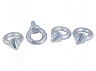 Lifting eye bolt; steel; for enclosures; Thread: M12; 4pcs. SCHNEIDER ELECTRIC