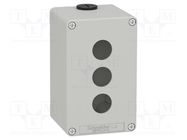 Enclosure: for remote controller; IP65; X: 80mm; Y: 130mm; Z: 77mm SCHNEIDER ELECTRIC