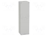 Enclosure: for remote controller; IP65; X: 85mm; Y: 310mm; Z: 77mm SCHNEIDER ELECTRIC