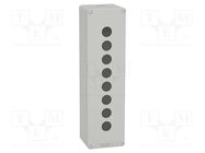Enclosure: for remote controller; IP65; X: 85mm; Y: 310mm; Z: 77mm SCHNEIDER ELECTRIC