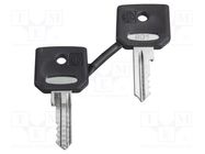 Key; 22mm; Harmony XB4; 2pcs. SCHNEIDER ELECTRIC