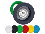 Switch: push-button; 30mm; Stabl.pos: 1; none; IP66; witout symbol SCHNEIDER ELECTRIC