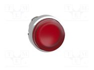 Switch: push-button; 22mm; Stabl.pos: 2; red; ZBVB,ZBVG,ZBVJ,ZBVM SCHNEIDER ELECTRIC