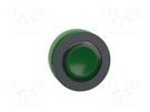 Switch: push-button; 30mm; Stabl.pos: 1; green; IP66; witout symbol SCHNEIDER ELECTRIC
