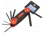 Wrench-set; hex key; Chrom-vanadium steel NEWBRAND