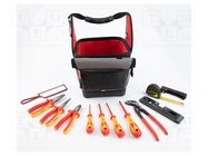 Kit: general purpose; 13pcs. C.K