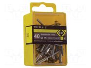 Rivet; aluminium; Rivet diam: 4.8mm; L.rivet: 12mm; 40pcs. C.K