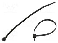 Cable tie; L: 120mm; W: 2.5mm; black; polyamide; 80N; 100pcs; UL94V-2 RADPOL