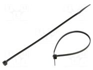 Cable tie; L: 710mm; W: 9mm; black; polyamide; 790N; 25pcs; UL94V-2 RADPOL