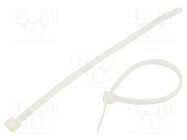 Cable tie; L: 160mm; W: 4.8mm; polyamide; 220N; natural; 100pcs. RADPOL