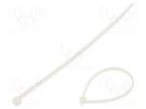 Cable tie; L: 200mm; W: 2.5mm; polyamide; 80N; natural; 100pcs. RADPOL