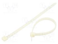 Cable tie; L: 200mm; W: 7.6mm; polyamide; 380N; natural; 100pcs. RADPOL