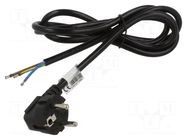 Cable; 3x1mm2; CEE 7/7 (E/F) plug angled,wires,SCHUKO plug; PVC AKYGA