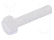 Screw; M2x10; 0.4; Head: cheese head; slotted; 0.6mm; polyamide DREMEC