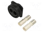 Connector: circular; socket; female; PIN: 2; 225A; Buccaneer 9000 BULGIN