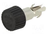 Fuse holder; 10A; black; 250VAC; UL94V-0; thermoplastic; -40÷85°C SCHURTER