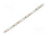 LED tape; white cold; 3528; LED/m: 60; 8mm; white PCB; IP20; 4.8W/m WISVA OPTOELECTRONICS
