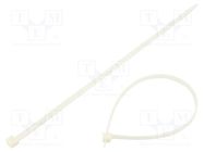 Cable tie; L: 368mm; W: 7.6mm; polyamide; 540N; natural; 100pcs. RADPOL