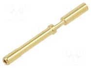 M23 P fem.-c 0,6mm (0,08–0,34mm²) Au HARTING