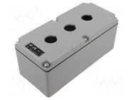 Enclosure: for remote controller; 22mm; IP65; X: 92mm; Y: 205mm ILME