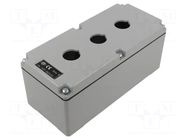 Enclosure: for remote controller; 22mm; IP65; X: 92mm; Y: 205mm ILME