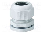 Cable gland; M40; 1.5; IP66,IP67; polyamide; light grey HENSEL