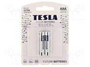 Battery: alkaline; 1.5V; AAA; non-rechargeable; Ø10.5x44.5mm TESLA BATTERIES