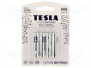 Battery: alkaline; AAA; 1.5V; non-rechargeable; Ø10.5x44.5mm TESLA BATTERIES