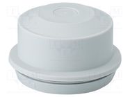 Grommet; elastomer thermoplastic TPE; light grey; 11÷30mm; IP65 HENSEL