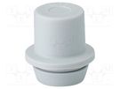 Grommet; elastomer thermoplastic TPE; -25÷35°C; 4.8÷11mm; IP55 HENSEL