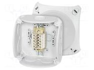 Enclosure: junction box; IP66; with terminals; grey; ENYCASE® HENSEL