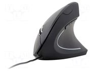 Mouse; black; USB A; optical,wired; 1.35m; No.of butt: 6 GEMBIRD