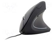 Mouse; black; USB A; optical,wired; ergonomic,DPI change button GEMBIRD