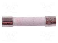 Fuse; 10A; 250V; Ø6x32mm BRYMEN