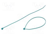 Cable tie; with a metal clasp; L: 360mm; W: 4.8mm; E/TFE; UL94V-0 ABB